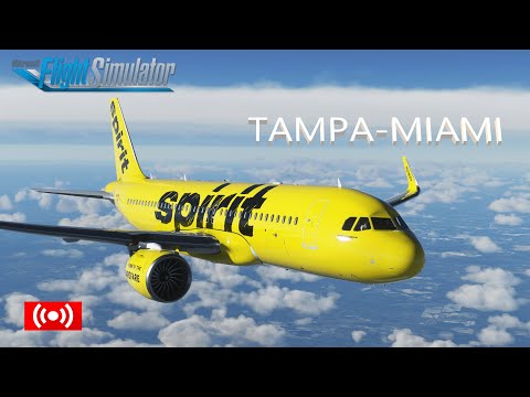 Microsoft Flight Simulator 2020 Tampa to Miami NK1114 A320Neo