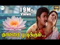 Thamarai Poovukum தாமரை பூவுக்கும் Sujatha Mohan Krishnachandar H D Lo