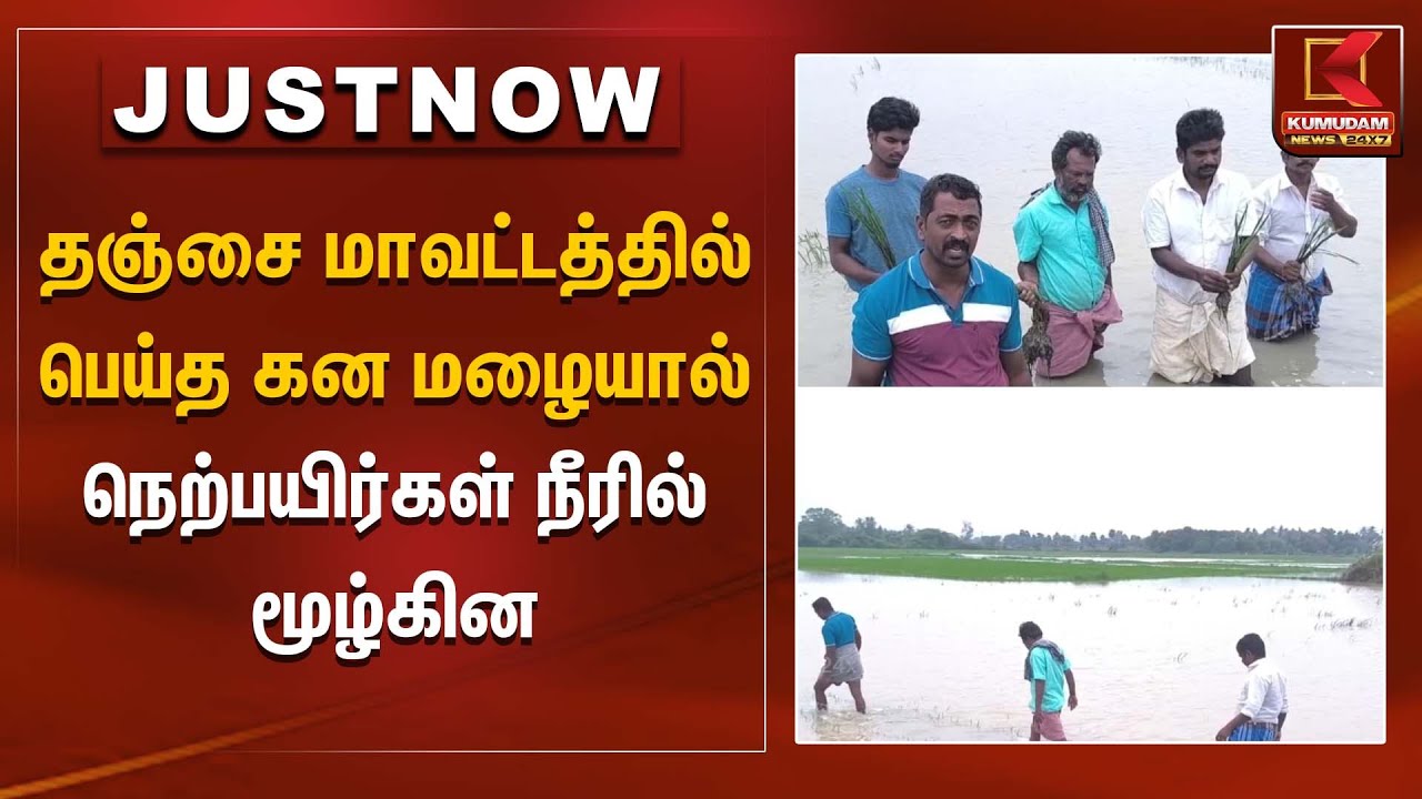 Ditwah | Farmers | தஞ்சை மாவட்டத்தில் பெய்த கன மழையால்நெற்பயிர்கள் நீரில் மூழ்கின | Rain