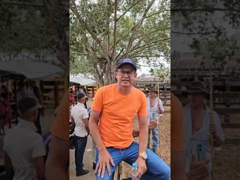 Feira de gado de Campo Grande   Alagoas  acontece todos os sábado 03/01/2026  ERIEL OFICIAL