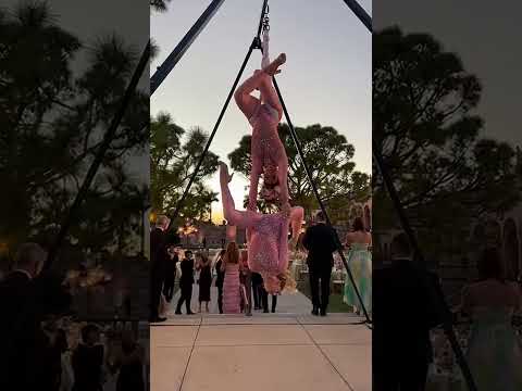 Aerial Artistry