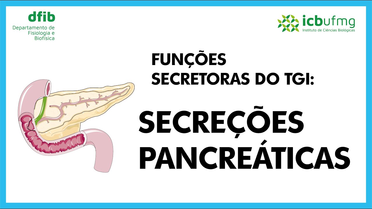 Funções secretoras do TGI: Secreção pancreática