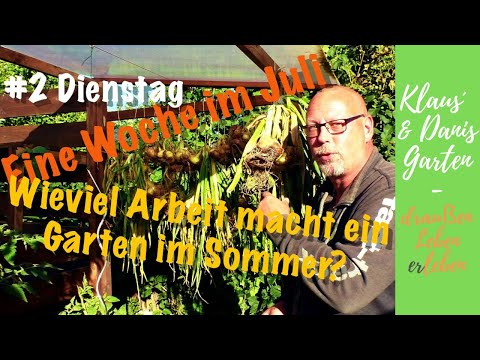 Eine Woche im Juli / Wieviel Arbeit macht ein Garten im Sommer? / Teil 2: Dienstag