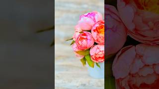 Download lagu Craft Realistic Bubble Bath Flowers That Will Take Your Breath Away! mp3 Download lagu Craft Realistic Bubble Bath Flowers That Will Take Your Breath Away! mp3