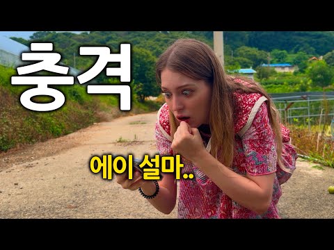 그냥 살찐 건 줄 알았는데 알고보니 임신이었습니다