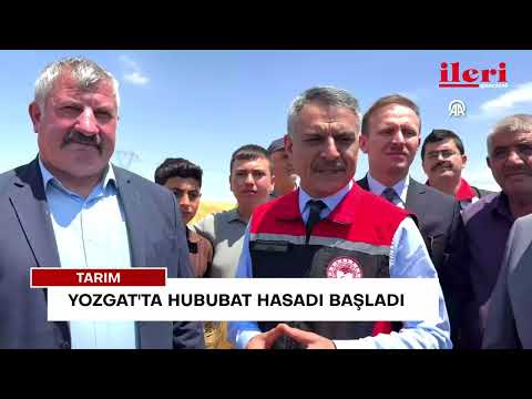 Yozgat'ta hububat hasadı başladı | İleri Gazetesi