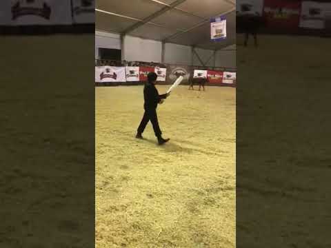 Poniendo banderillas