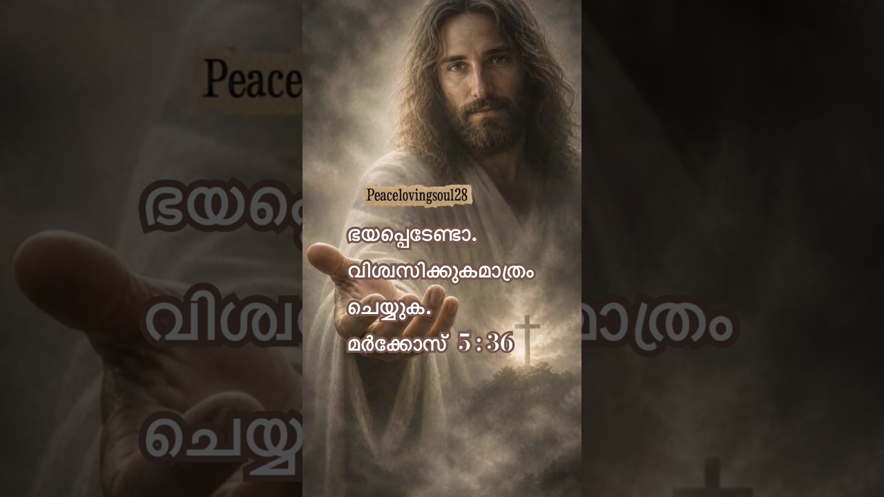 ✨മര്‍ക്കോസ്‌ 5 : 36✨