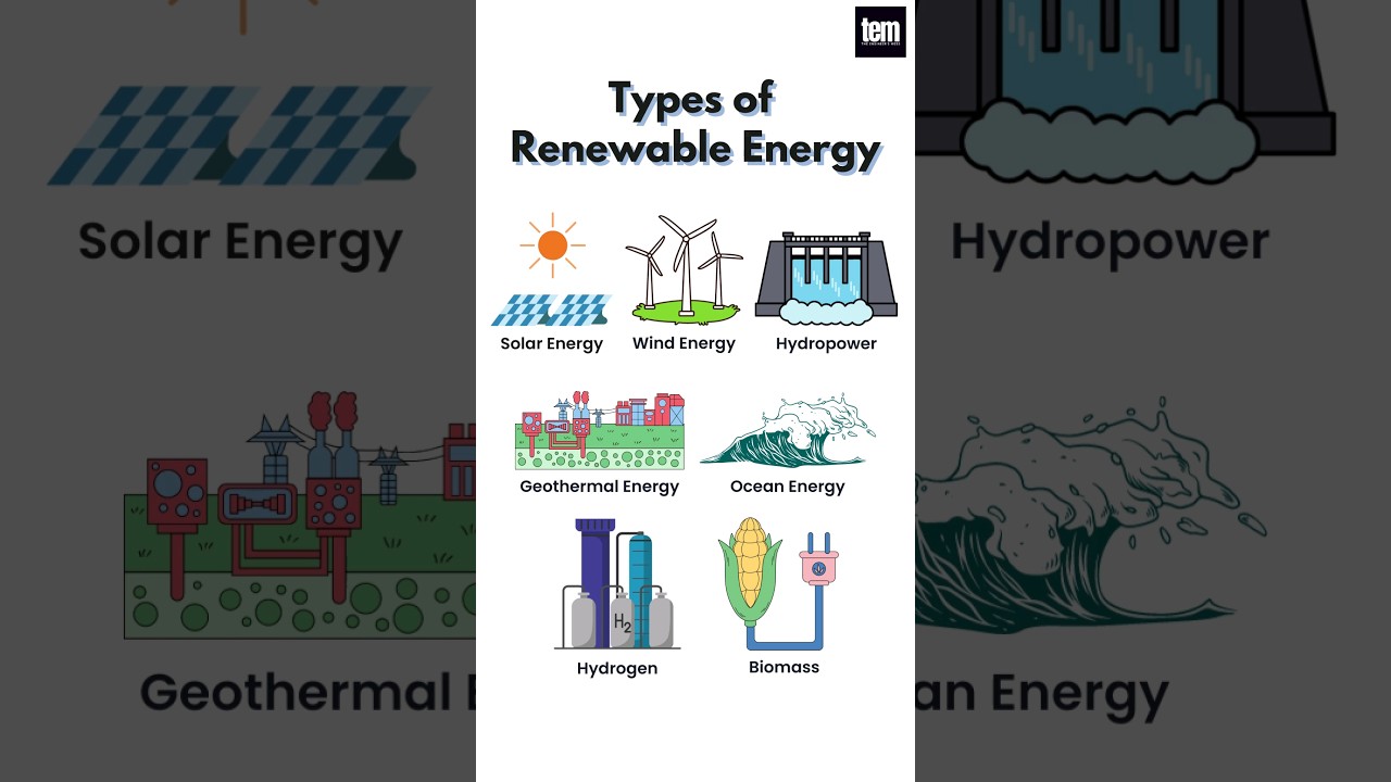 Types of Renewable Energy, Renewable Energy Resources #renewableenergy #shorts #youtubeshorts