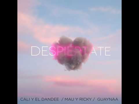 Cali Y El Dandee/Mau y Ricky/Guaynaa: Despiértate