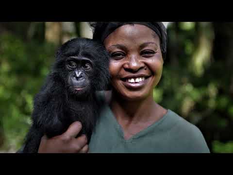 [Bonobo] Incredible Bonobos Facts || Bonobos Appearance and Behavior