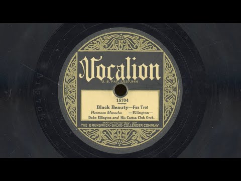 "Black Beauty" - Duke Ellington and his Cotton Club Orchestra (1928)