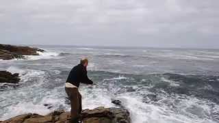 Miniature de la vidéo Bar en direct au poisson nageur Lucky Craft (Flash sp)