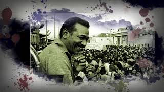 Cápsulas, Herederos de Almeida 1