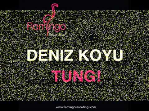 Deniz Koyu vs AN21, Max Vangeli & Steve Angello H8RS Tung! RRR13 Bootleg