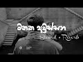 මතක අවුස්සන Sinhala Slowed Reverb Collection Manoparata THARUU VIBES