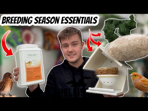 Breeding Season ESSENTIALS for Finches & Canaries