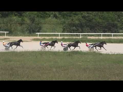 Trka  "Ilija Frča" 26.05.2019 Triumph Oaks - Miodrag Pantić