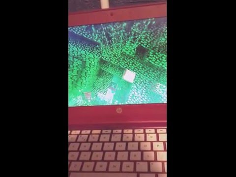 " jungle" Sqaishey song