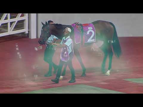 Stewards' Cup 2020 Highlights