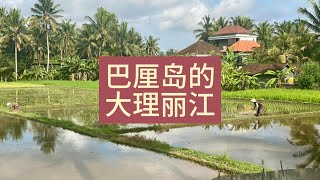 印尼旅游见闻12，巴厘岛的乌布（Ubud）就像大号的大理丽江