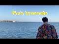 Sweetshirt Pink Lemonade Teaser