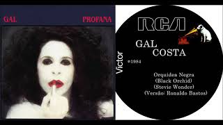 Gal Costa - Orquidea Negra (Black Orchid) (Stevie Wonder - Versão: Ronaldo Bastos)