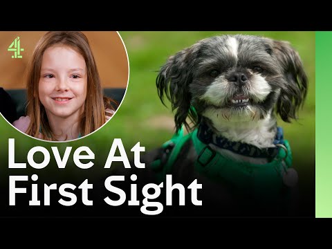 Rescue Dog Finds Love At First Sight | The Dog House 🐶