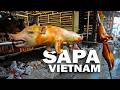 The Cuisine Of SAPA Mountain Town Food In Northern Vietnam