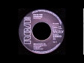 Beagle Music LTD - Ice In The Sunshine