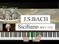 Siciliano from Flute Sonata No.2 BWV 1031 - J.S BACH. Piano