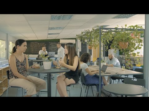 Building Peace Through Entrepreneurship in Cyprus