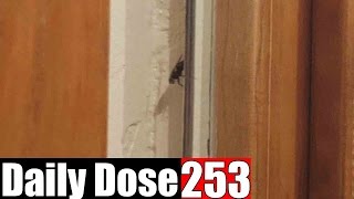 THEY BE CLEANIN' THINGS!!! - #DailyDose Ep.253 | #G1GB