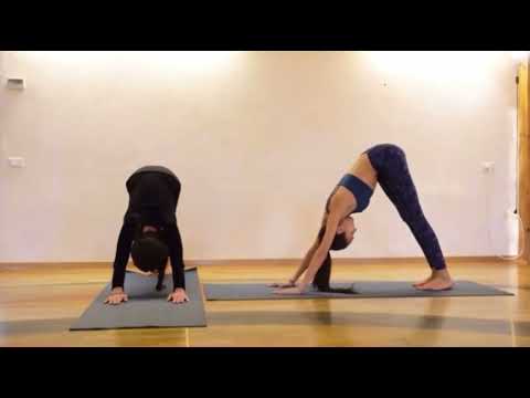 Yantra Yoga Online Beginners Course