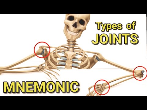 Joints of the Body | EASY Mnemonic for Memorizing the 6 classifications of Synovial Joints | Anatomy