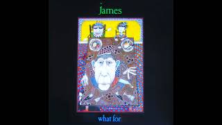 What For (1988) (Climax Mix) James