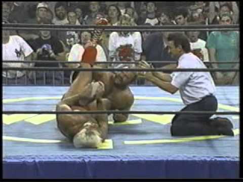 Arn Anderson vs. Ric Flair - 9/17/95 Pt. 3