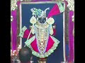 Shri Krishna Sharnu Tamaru Status Radhe Krishna Status Dwarikadhish Status Shrinathji Status