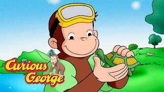 Underwater Animals! 🐵 Full Episodes | Curious George