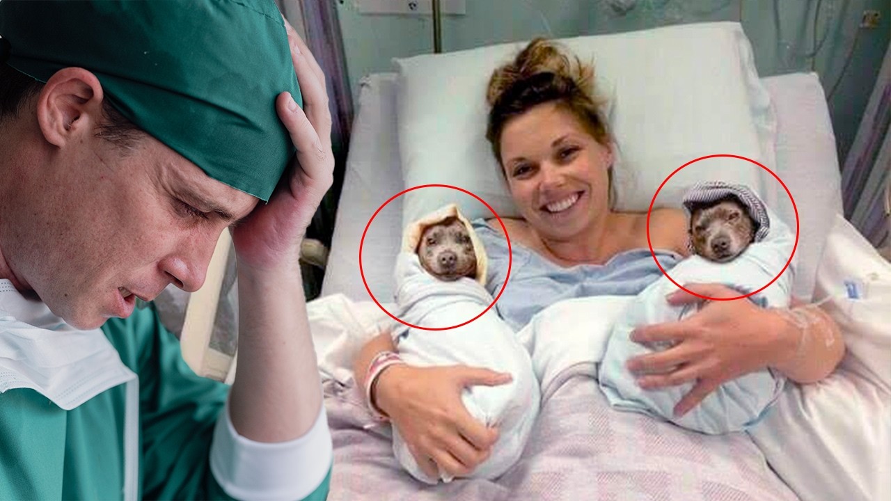 Mulher não parava de LATIR durante o parto. Quando bebês nascem, médico DESMAIA!