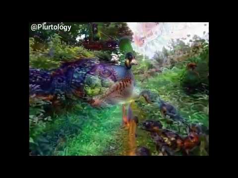 LSD/ACID Trip Simulation [POV]