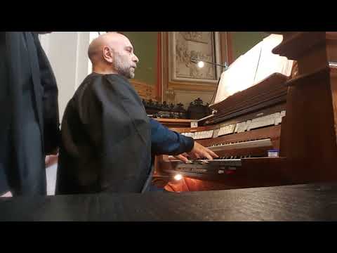 LE TUE MANI - ORGAN ROTATION