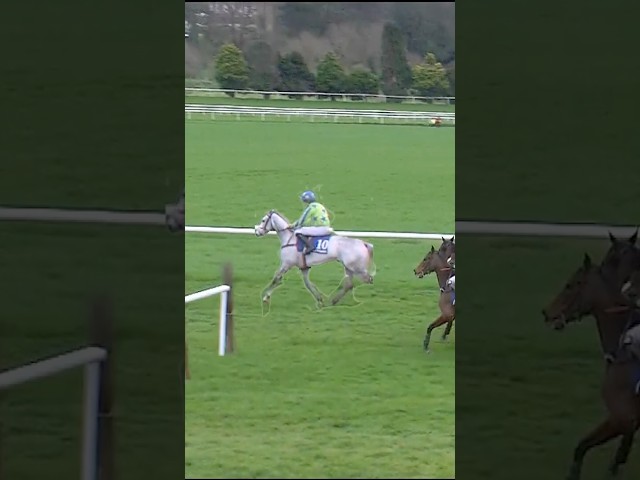 Thumbnail for Post ID: 9CUrhT_gF3I