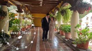 Bodas de Oro Nohora y Mario