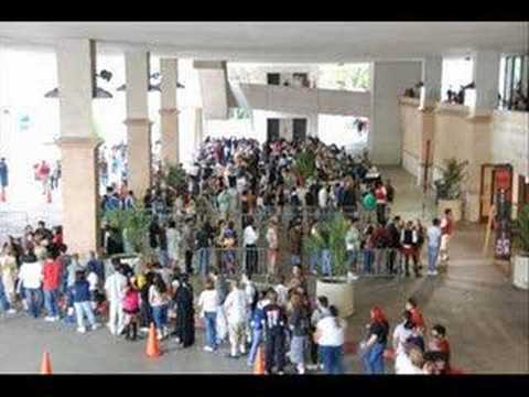 Free-for-alls: Escalation