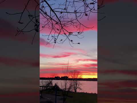 Today Sunset, Lilla Burke Park