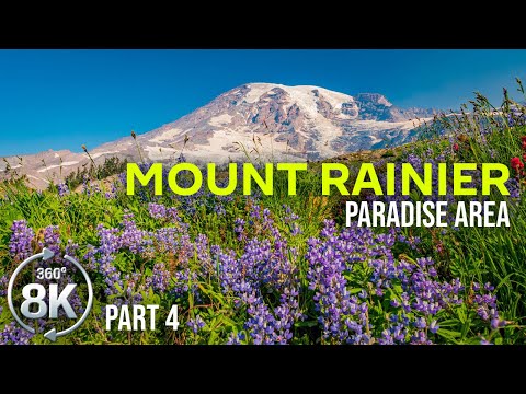 360° VR Relaxation - Scenic Mountain Views and Nature Sounds, Mount Rainier Park - Part #4