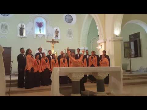 Soneto de la Noche (Morten Lauridsen) - Schola Cantorum Coralina
