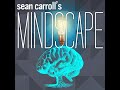 Episode 31 Brian Greene On The Multiverse Inflation And The String Theory Landscape
