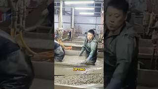 Download lagu Unexpected Harvest Truth mp3 Download lagu Unexpected Harvest Truth mp3